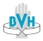 Logo: BVH